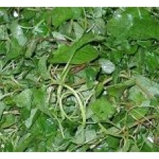 Spinach - Arai Keerai